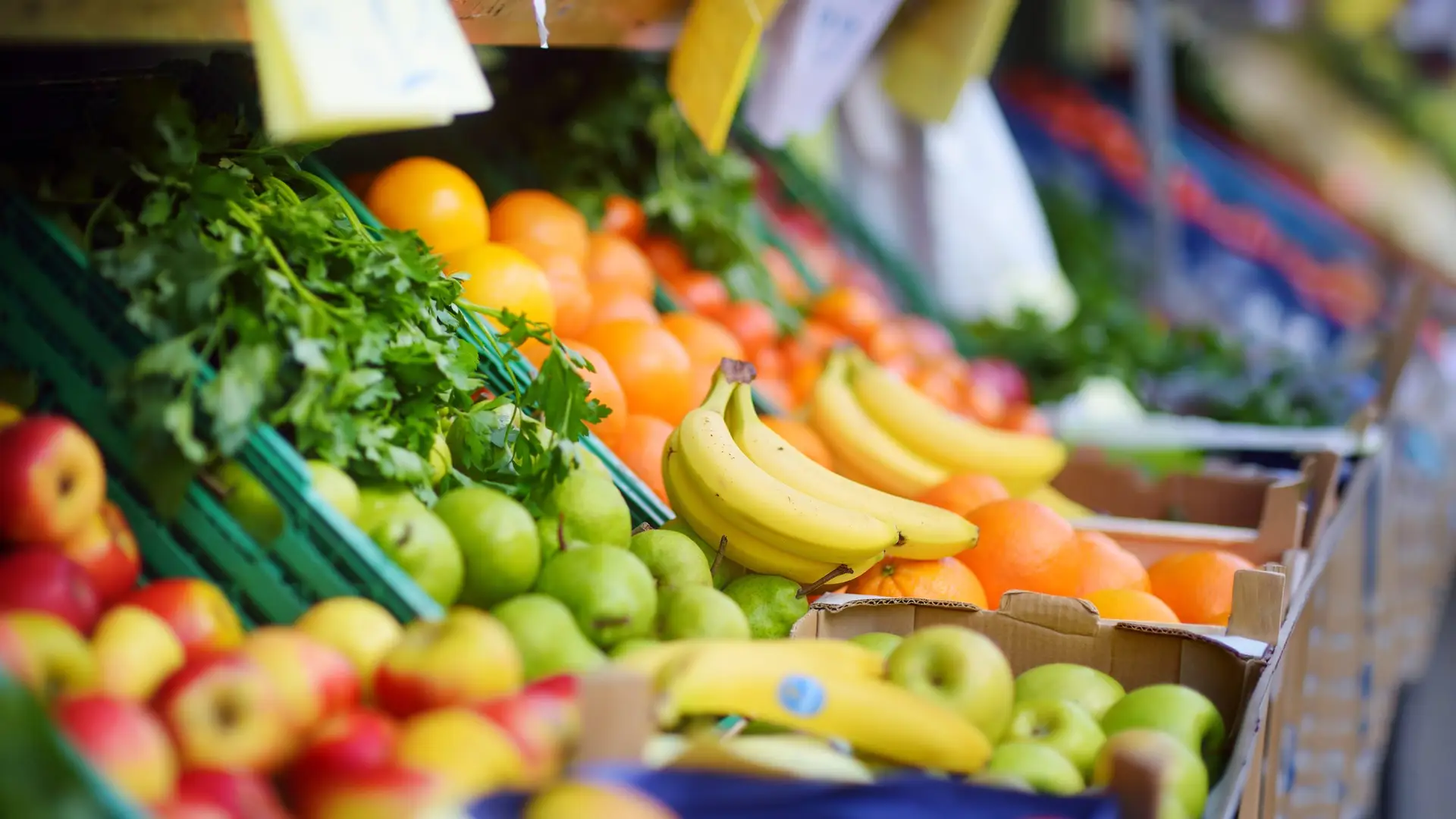 Fresh healthy bio fruits and vegetables on Bremen farmer agricultural market