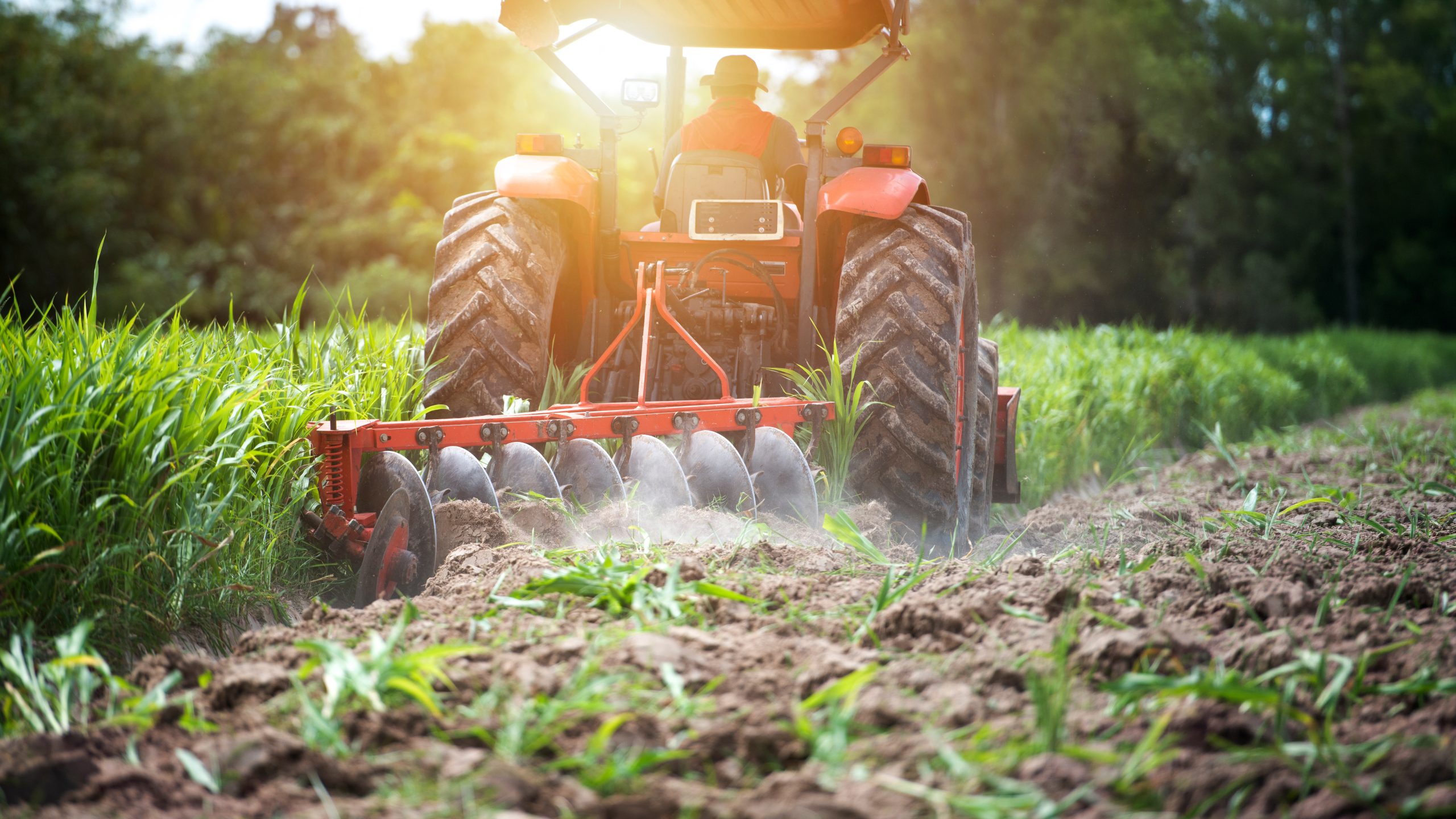 Agricultural workers and tractors, tillage machines, tillage and