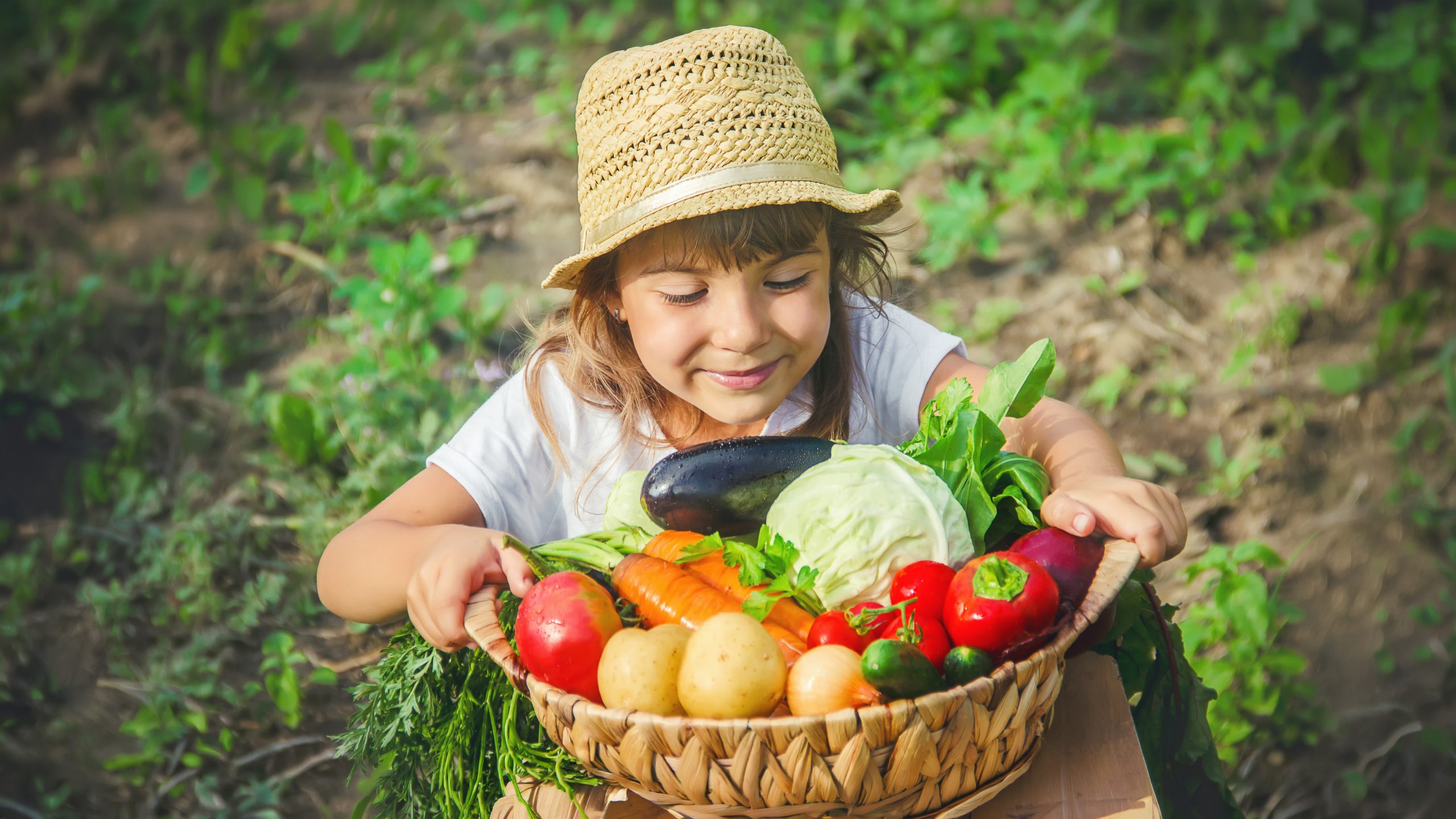 A child in the vegetable garden. Selective focus.
